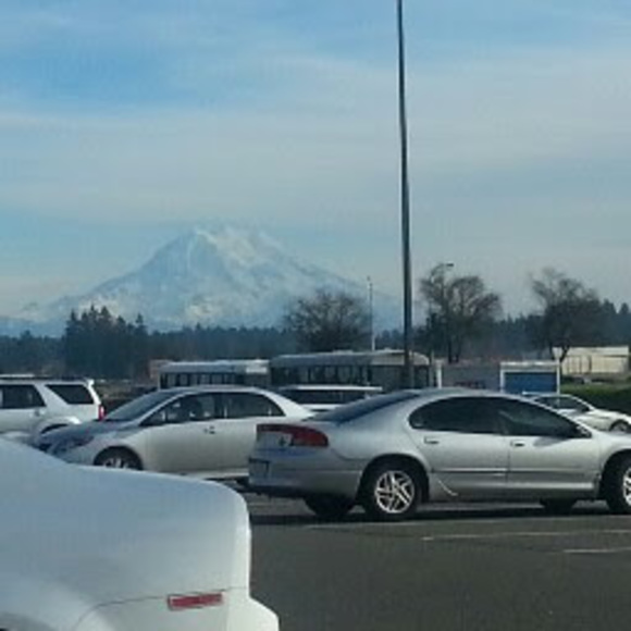 Meet your Posher, Don - Picture 1 of 1